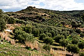 Near the Royal Villa of Aya Tridha on top of a low hill something like a tholos tomb. 